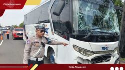 Kecelakaan Beruntun Libatkan Bus dan Minibus di Tol Cipali
