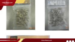 Kembali Ditarik FDA, Udang Beku Indonesia Kembali Disoroti Soal Radioaktif