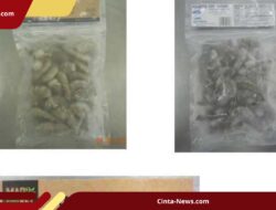 Kembali Ditarik FDA, Udang Beku Indonesia Kembali Disoroti Soal Radioaktif