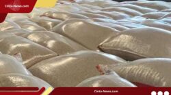 Diduga Langgar Aturan, 1.000 Ton Beras Ilegal Diamankan Mentan di FTZ Karimun