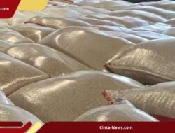 Diduga Langgar Aturan, 1.000 Ton Beras Ilegal Diamankan Mentan di FTZ Karimun