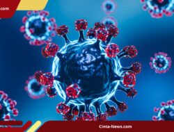 Siaga Darurat! Virus Mematikan Nipah Infeksi Dua Perawat di India