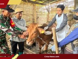 Darurat PMK di Jatim, Disnak Jatim Genjot Pengawasan Pasar Ternak dari PMK