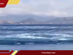 Viral Fenomena Whirlpool di Komodo, Begini Penjelasan BMKG