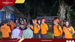 Tim SAR Turun Tangan Mencari Kakek 78 Tahun yang Hilang di Kawasan Gunung Slamet