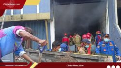 Damkar Tangsel Alami Iritasi Usai Padamkan Gudang Pestisida