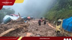 Trans Papua Terputus, Alat Berat Dikerahkan untuk Selamatkan Kendaraan Tertimbun Longsor