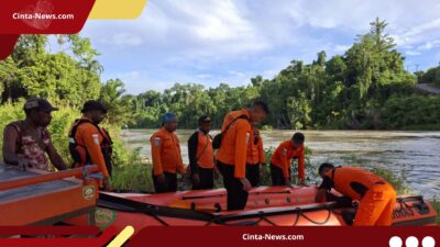 Pemuda asal Muara Tami Raib Diterkam Buaya, Tim Gabungan Lakukan Penyisiran