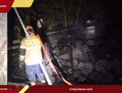 Agrowisata Seru di Jogja, Panen dan Santap Melon Langsung dari Pohonnya!