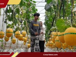 Gudang Kayu di Nganjuk Hangus Diduga Gara-gara Bocah Main Korek Api