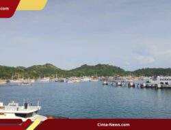 Waspada Gelombang Tinggi! Akses Wisata ke Pulau Komodo Ditutup Lagi