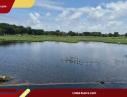 Banjir Kembali Genangi TPU Semper, Peziarah Kesulitan Menjangkau Makam Keluarga