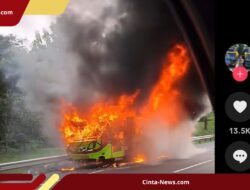 Kronologi Bus Pariwisata Terbakar di Tol Cipali, Begini Kejadiannya