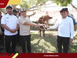 Pemerintah Salurkan Rp72,72 M Bantuan Daging Meugang untuk 1.455 Desa di Aceh