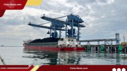 Pemangkasan Produksi Batu Bara Bikin Stok PLTU Jeblok, Perlukah Khawatir soal Listrik?