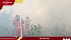 Tim Manggala Agni Rengat Waspada Harimau Saat Padamkan Api di Dekat Suaka Margasatwa