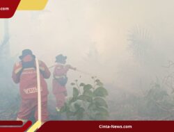 Tim Manggala Agni Rengat Waspada Harimau Saat Padamkan Api di Dekat Suaka Margasatwa