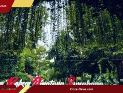 KBS Tahun Ini Tak Sekadar Melihat Satwa, Ada Interaksi Langsung hingga Parade Reog