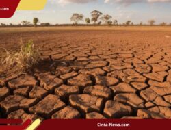 Kemarau 2026 di Sumsel Diprediksi Berlangsung hingga 5 Bulan, Warga Diminta Siaga