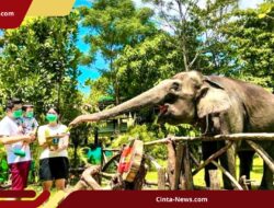 Puncak Libur Lebaran 2026, Gembira Loka Zoo Tembus 11.000 Kunjungan dalam Sehari