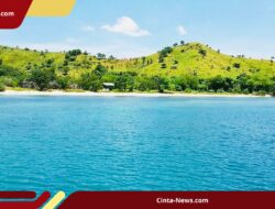 Mulai April 2026, Kunjungan ke Taman Nasional Komodo Resmi Dibatasi 1.000 Orang per Hari