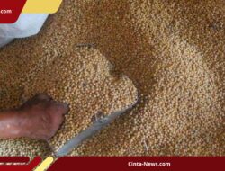 Importir dan Pengrajin Tempe Sepakat, HAP Kedelai Ditahan di Rp11.500