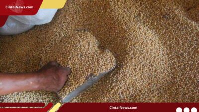 Importir dan Pengrajin Tempe Sepakat, HAP Kedelai Ditahan di Rp11.500
