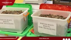 11 Pelaku Perdagangan Satwa Endemik Diringkus Polda Jatim, Thailand Tujuan Utama