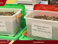 11 Pelaku Perdagangan Satwa Endemik Diringkus Polda Jatim, Thailand Tujuan Utama