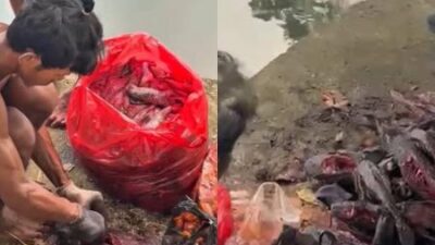 Satpol PP Jakpus Amankan 5 Pria yang Tangkap Ikan Sapu-sapu untuk Siomai