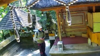 Aksi WNA Ambil Uang Kotak Donasi Viral di Medsos