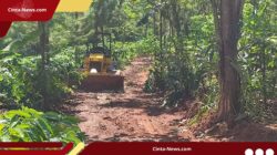 Lahan Kopi Diambil, Hidup Terancam: Alasan Warga Tolak Batalion TNI