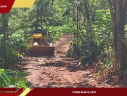 Lahan Kopi Diambil, Hidup Terancam: Alasan Warga Tolak Batalion TNI