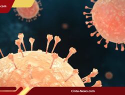 Kasus Hantavirus Meningkat di Indonesia, DPR Minta Pemerintah Perkuat Deteksi Dini