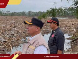 PLN Berhasil Pulihkan Listrik di Wilayah Terisolir Aceh Utara Setelah Setengah Tahun Terputus