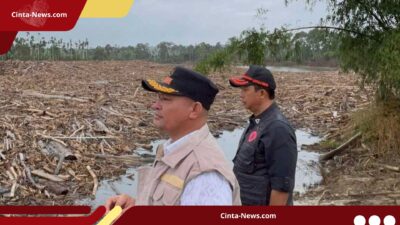 PLN Berhasil Pulihkan Listrik di Wilayah Terisolir Aceh Utara Setelah Setengah Tahun Terputus