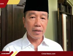 Jokowi Disinggung Akan Turun ke Akar Rumput Bantu PSI, Tinggal Waktu yang Tepat