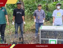 Upaya Penyelundupan Burung di Tol Bakauheni-Terbanggi Besar Gagal, 203 Ekor Diamankan