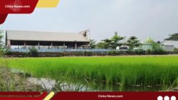 Pemkab Mojokerto Mulai Bebaskan Lahan untuk Pusat Pemerintahan Baru di Mojosari