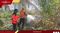 Kebakaran Lahan Gambut Capai 334 Hektare, Pemerintah Diminta Segera Tindak Pelaku