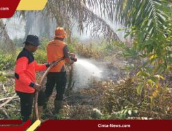 Kebakaran Lahan Gambut Capai 334 Hektare, Pemerintah Diminta Segera Tindak Pelaku