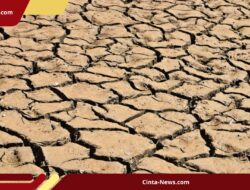 Kabupaten Bandung Terima Kucuran Anggaran Rp 334 M dari Pusat untuk Perbaikan Irigasi