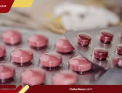 Desakan YLKI di Tengah Kenaikan Harga Obat: Kurangi Impor, Perkuat Industri Dalam Negeri
