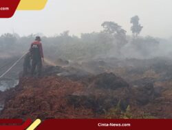 Dua Pekan Terjadi Karhutla, 34 Hektare Lahan di Aceh Barat Hangus Terbakar