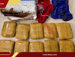 Pengiriman 10 Kilogram Ganja via Ekspedisi Digagalkan Bareskrim, 1 Tersangka Diamankan