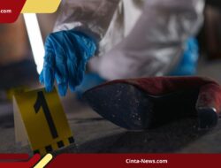 Siswi SMP Pelaku Penusukan Guru SD di OKU Selatan Akhirnya Menemui Polisi