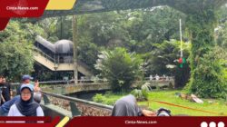 Pemprov Jakarta Gratiskan Tiket Ragunan di Tiga Hari Spesial HUT ke-499