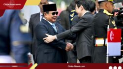 Morowali Dipilih sebagai Lokasi Proyek Tenaga Surya Skala Besar Hasil Kerja Sama RI-Singapura