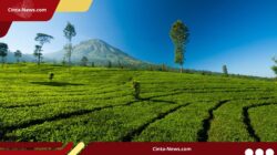 Menikmati Keindahan Gunung Lawang Sambil Menjaga Ekosistem Cagar Alam