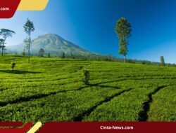 Menikmati Keindahan Gunung Lawang Sambil Menjaga Ekosistem Cagar Alam